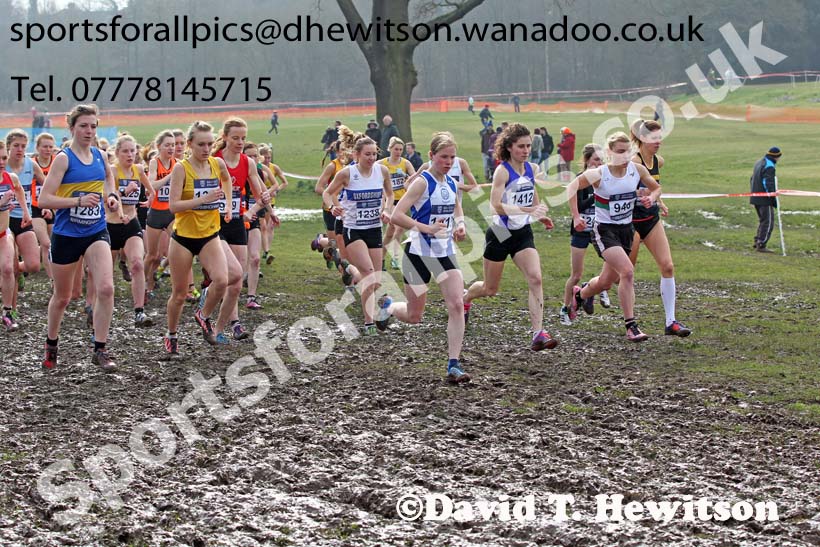 Start of the of the senior womens Inter Counties Cross Country, Cofton Park, Birmingham. Photo: David T. Hewitson/Sports for All Pics